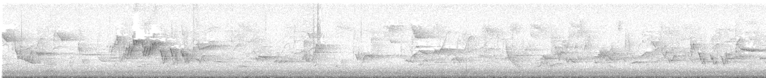 Mourning Warbler - ML637120898