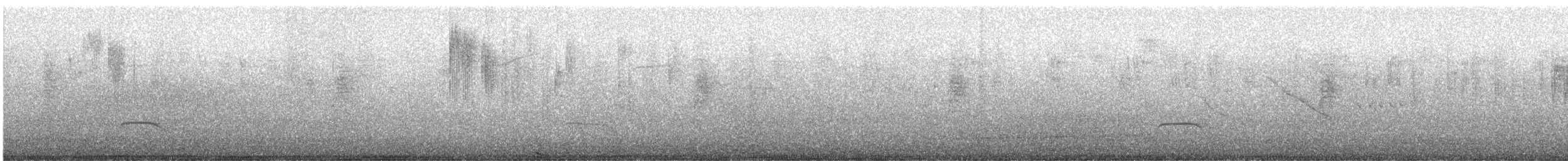 Streak-throated Bush-Tyrant - ML637122378