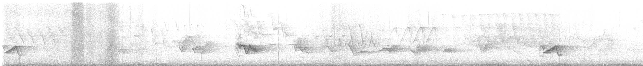 Wild Turkey - ML637123109