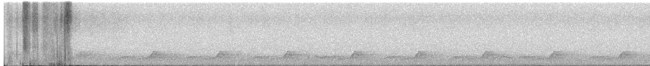 Chuck-will's-widow - ML637126118