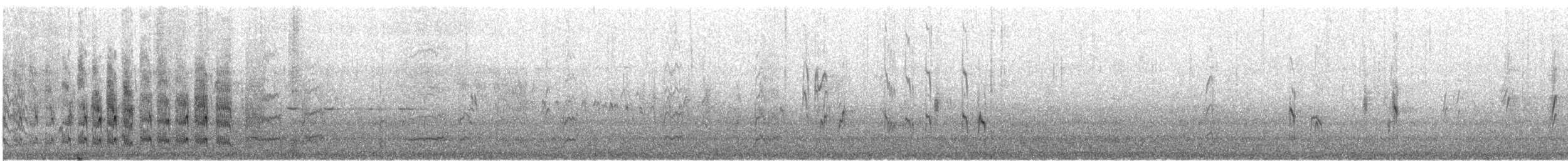 Semipalmated Sandpiper - ML637126255