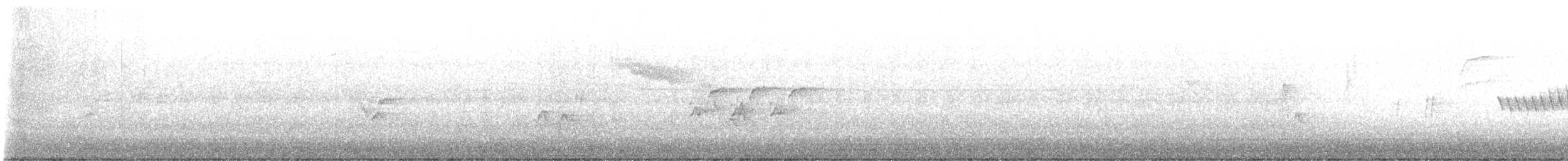Bewick's Wren - ML637126931