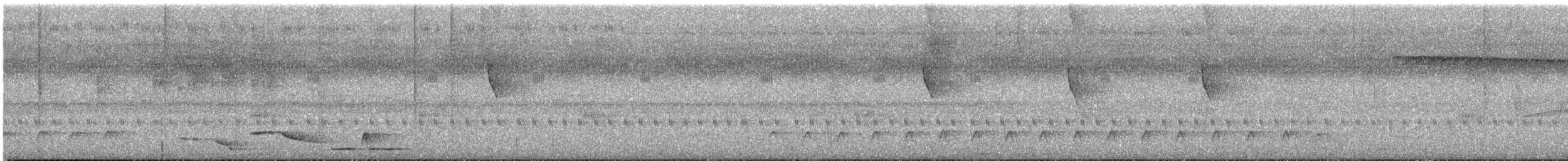 Black-bellied Wren - ML637129327