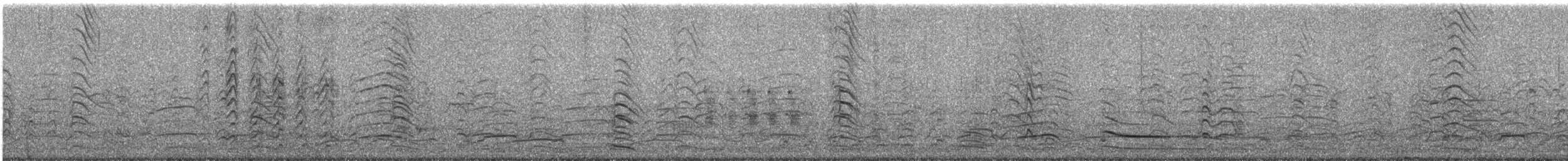 Antxeta mokogorri amerikarra - ML637131957