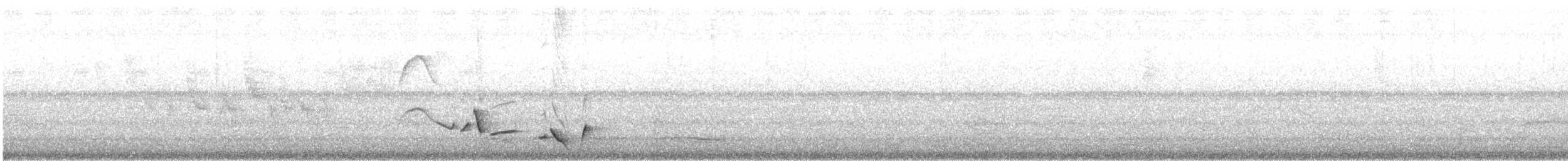 Whiskered Wren - ML637131968