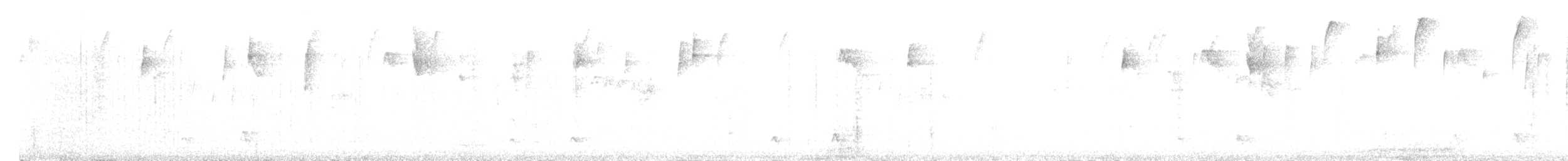 Collared Inca - ML637132884