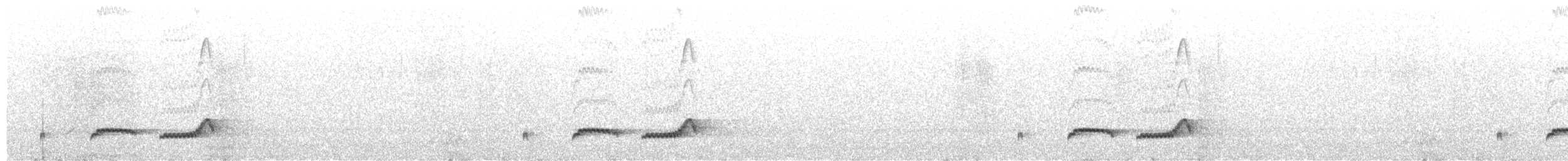 Dusky Nightjar - ML637133149