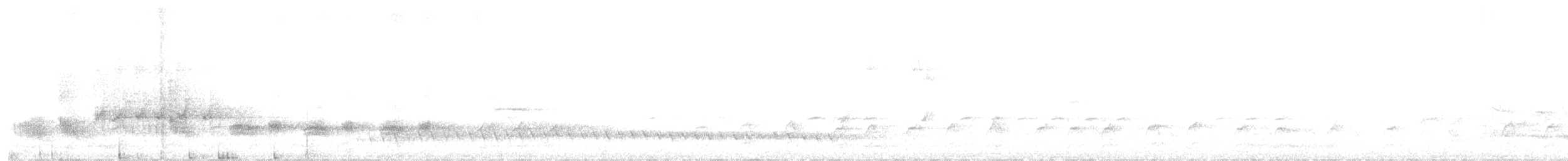 ノドグロハチマキミツスイ - ML637133968