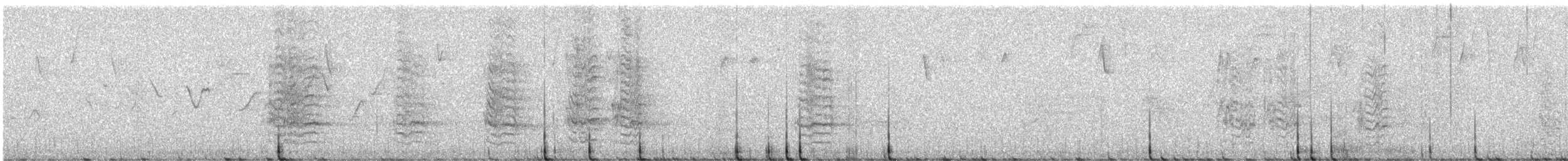Pione pailletée (seniloides) - ML637135457