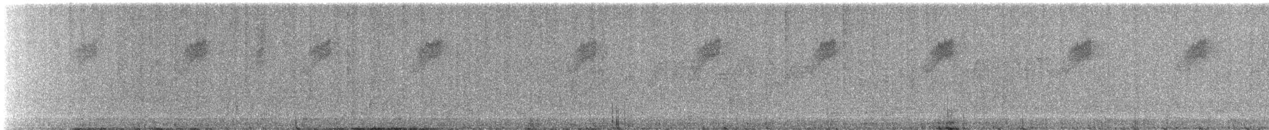 bird sp. - ML637135528