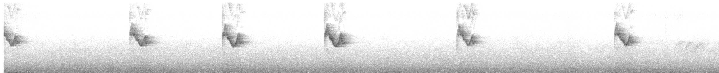 Yellow-browed Warbler - ML637136303
