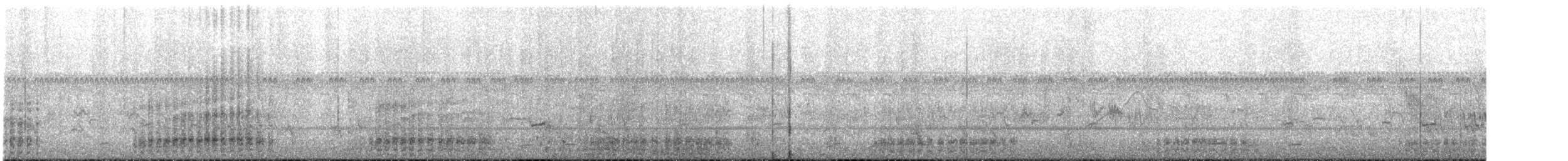 ダイサギ - ML637137917