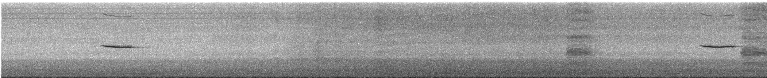 Cape Wagtail - ML637138880