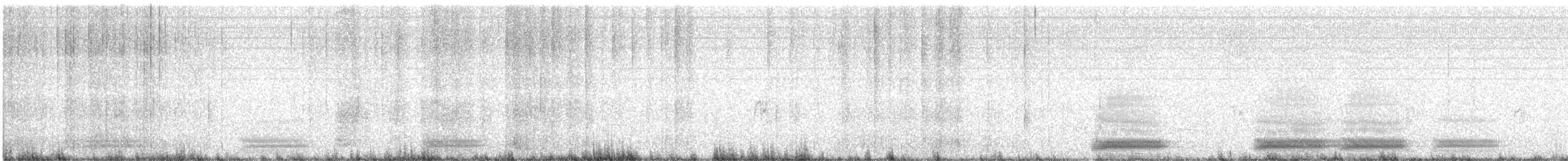 Pied Crow - ML637138911