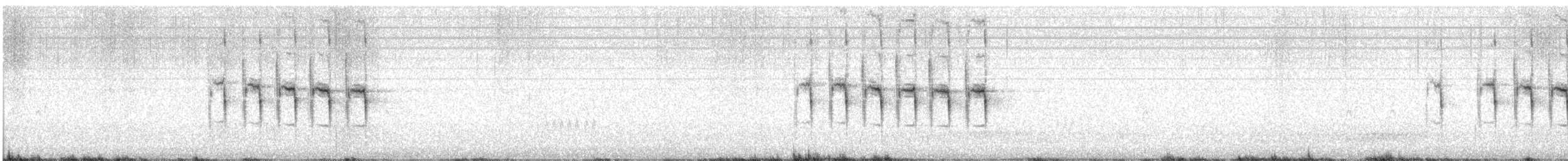 Black-chested Prinia - ML637139567