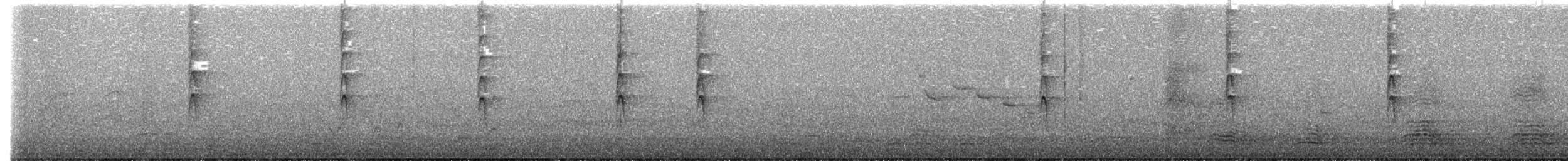 Gray Fantail - ML637139765