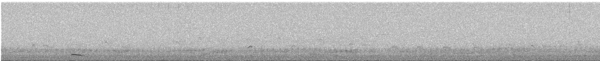 Усны бух шувуу - ML637140135