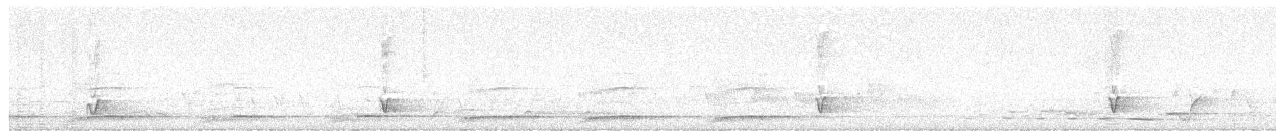 Sahul Cicadabird - ML637140204