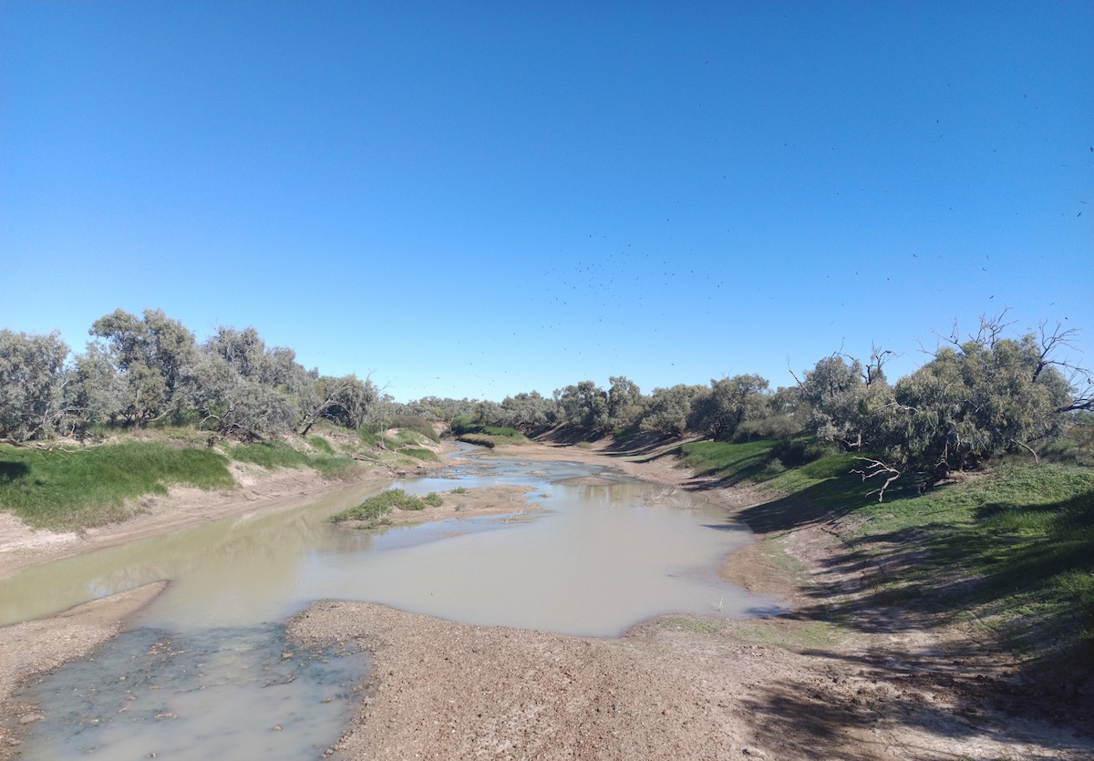 Сохор элээ - ML637140252