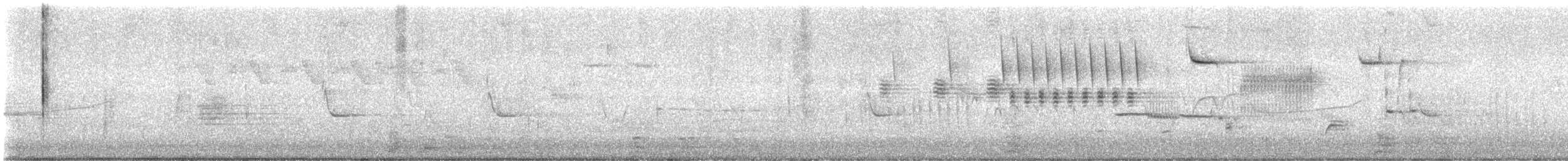 Belted Kingfisher - ML637143542