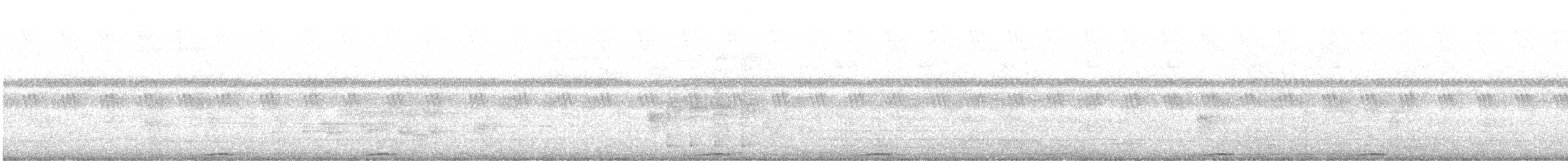 holub černošíjný - ML637145305