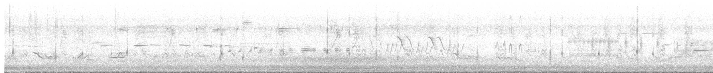 Northern Bobwhite - ML637145341