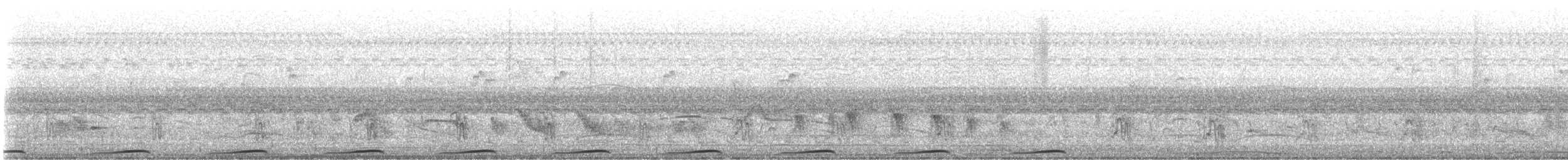 Picui Ground Dove - ML637146562