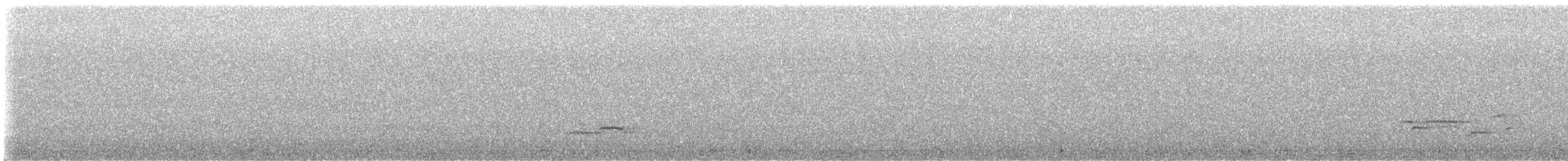 Black-billed Nightingale-Thrush - ML637146662