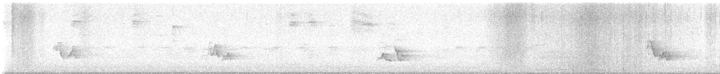 Red-eyed Vireo - ML637147945