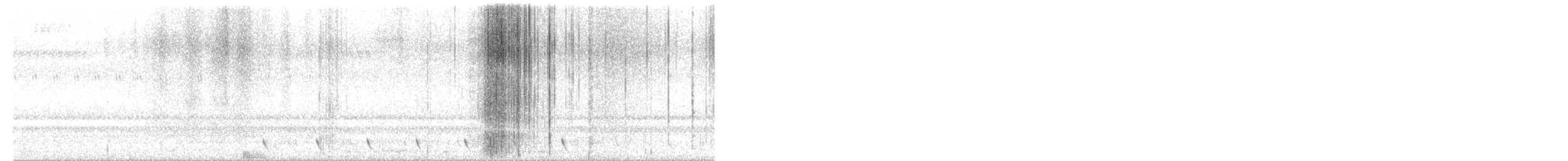 Jungle Nightjar - ML637148014