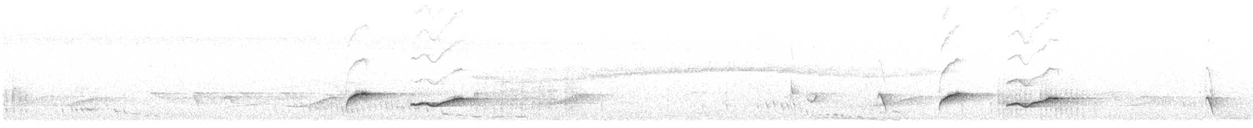 Horsfield's Babbler (Horsfield's) - ML637148984
