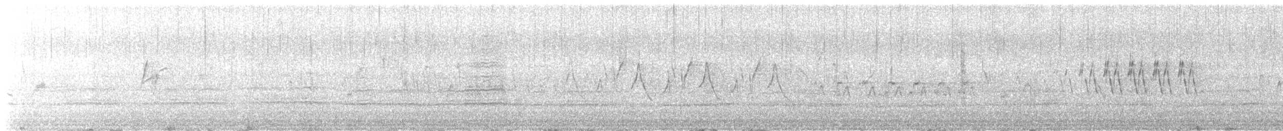 kjerrparula - ML637149007