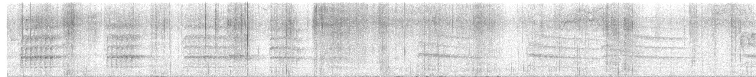 datlovití sp. - ML637150587