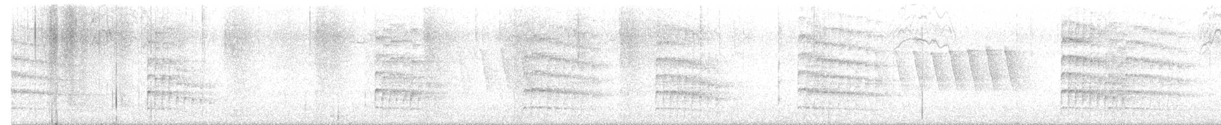 datlovití sp. - ML637150923