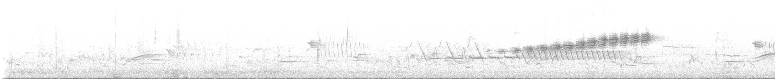 Prairie Warbler - ML637151678