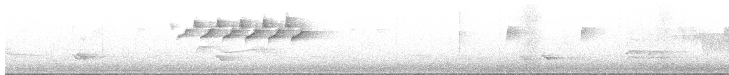 Black-and-white Warbler - ML637152055