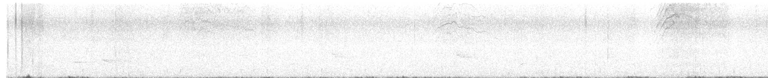 datlovití sp. - ML637152471