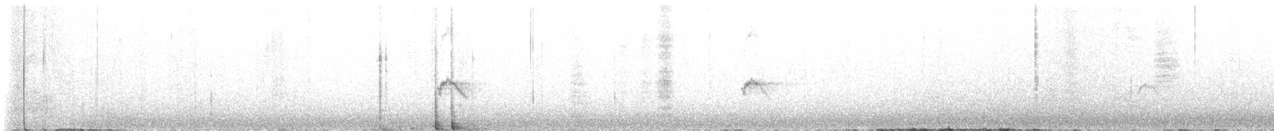 Mokolodi bekainoria - ML637152690