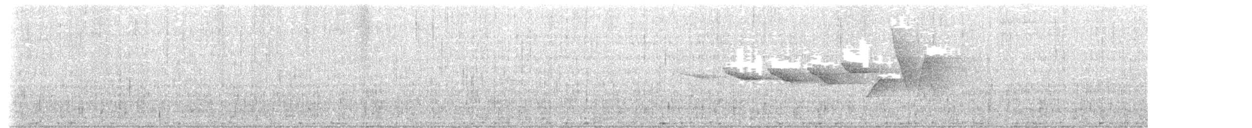 Swainson's Warbler - ML637152728