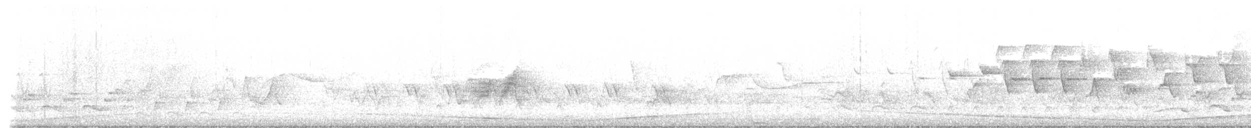 Alder Flycatcher - ML637153386