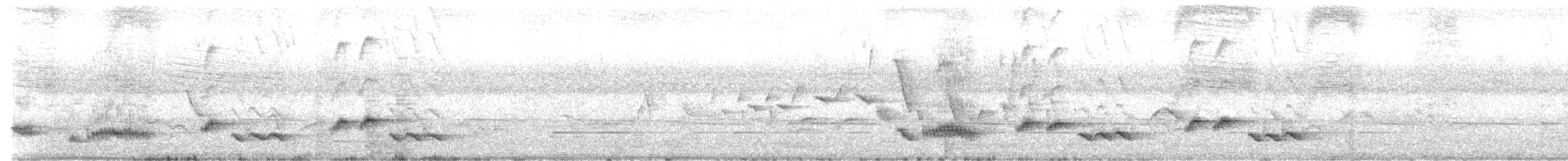 Tropical Mockingbird - ML637153835