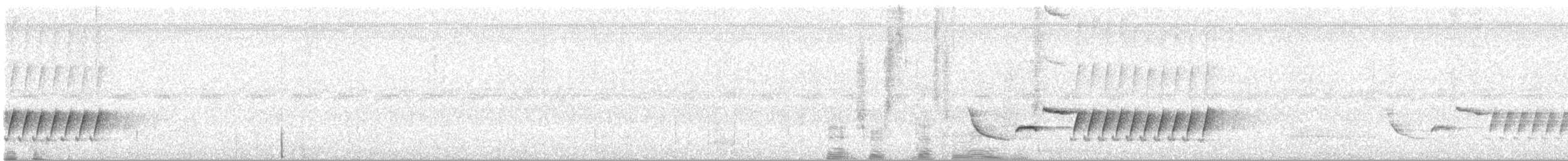 Bewick's Wren - ML637153963