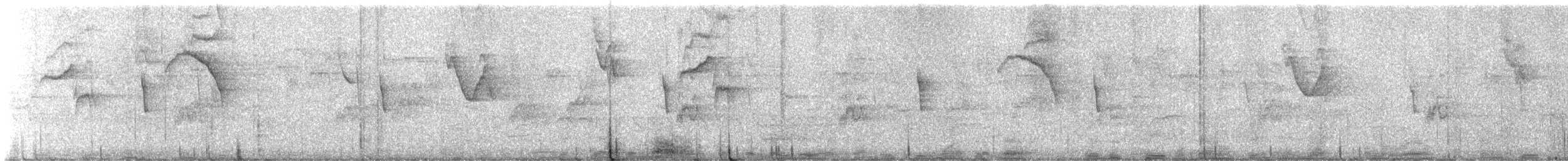 Barred Parakeet - ML637154811