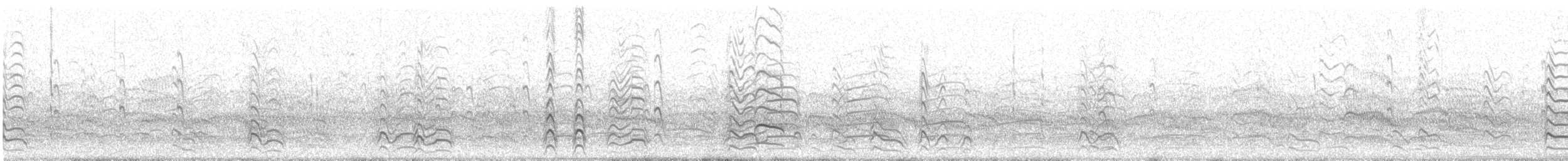 Antxeta mokogorri amerikarra - ML637154961
