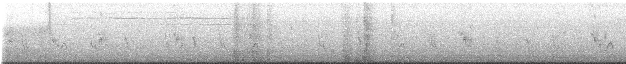 House Sparrow - ML637155265