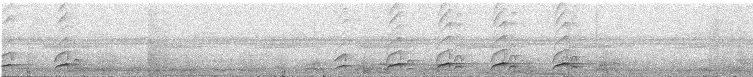 Dull-capped Attila - ML637157405
