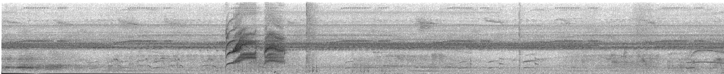 Tyran licteur - ML637158864