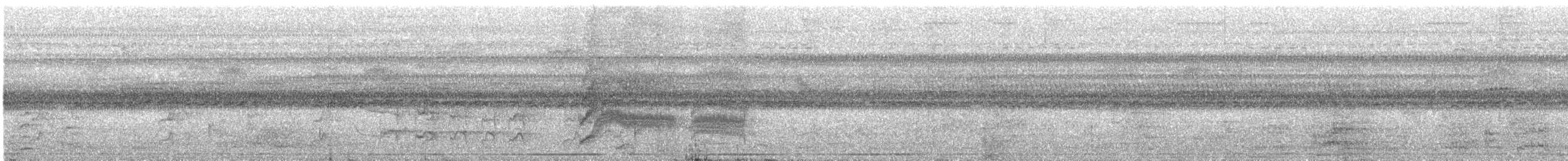 Tyran licteur - ML637158865