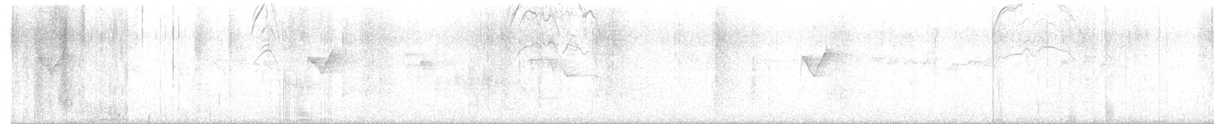 bird sp. - ML637159039