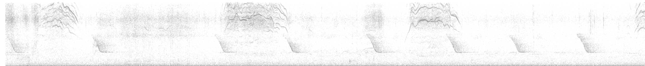 bird sp. - ML637159232